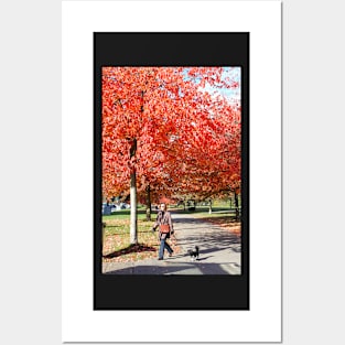 Walking the Dog in a Park, Vancouver City, Canada Posters and Art